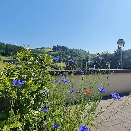 Romy Hohenfels-Essingen